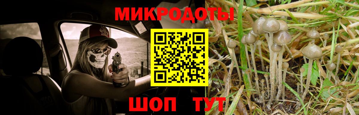 Каменск-Уральский  Галлюциногенные грибы Magic Shrooms  Вход с VPN  Галлюциногенные грибы ЛСД 